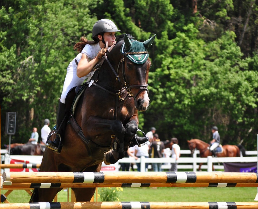 comp DSC 0125