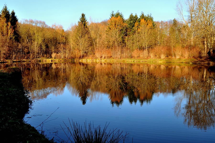 comp DSC 0238