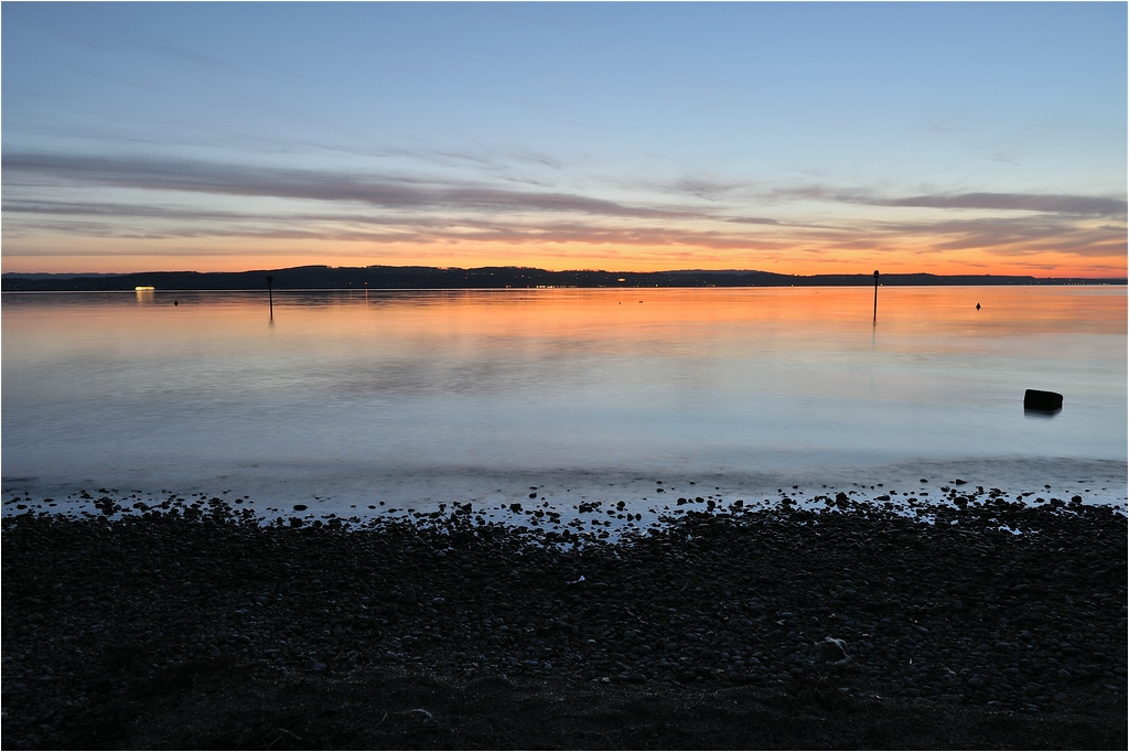 comp DSC 0299