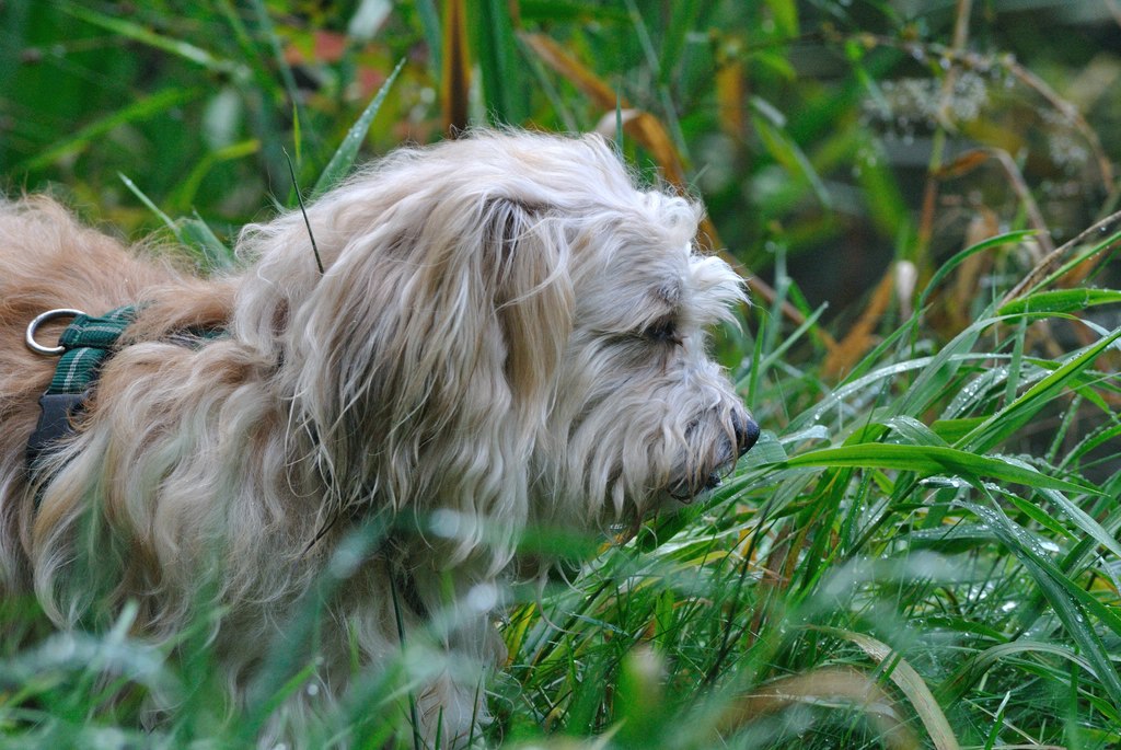comp DSC 0356