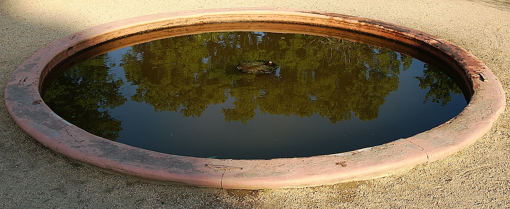 comp DSC 0397z