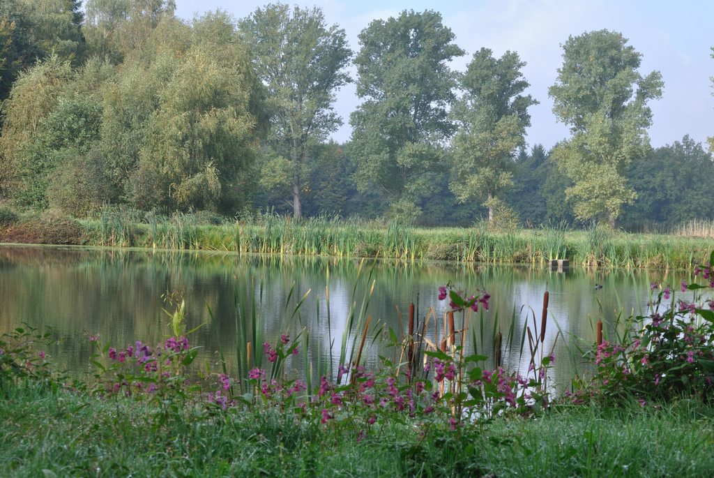 comp DSC 0417