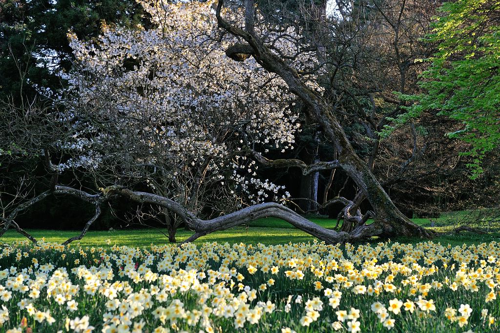 comp DSC 0442