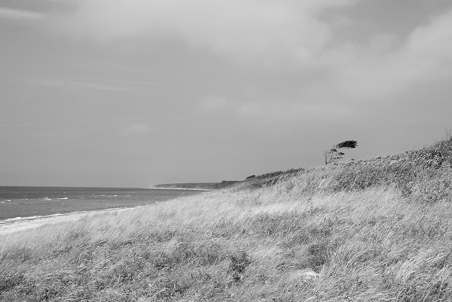 comp DSC 05081 1