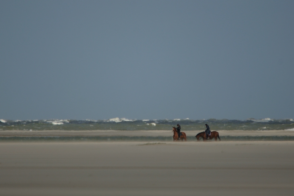 comp DSC 0527 bearbeitet