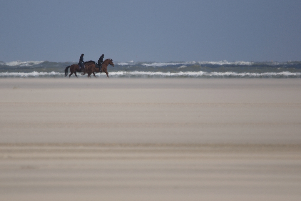 comp DSC 0528 bearbeitet