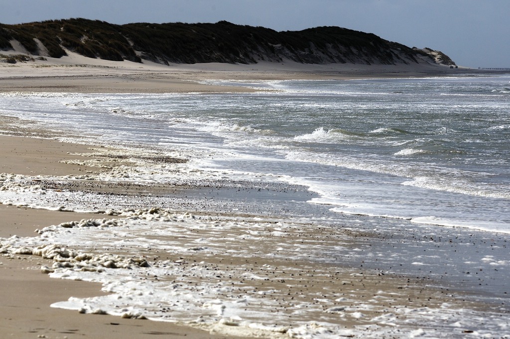 comp DSC 0692 bearbeitet