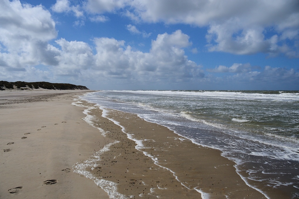 comp DSC 0712 bearbeitet