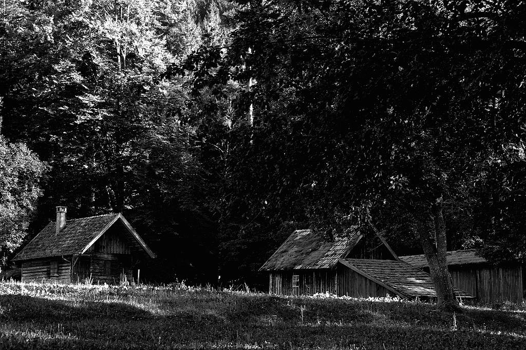 comp DSC 0786 bearbeitet S&amp;W