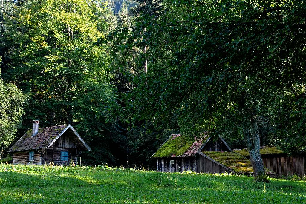 comp DSC 0786 bearbeitet