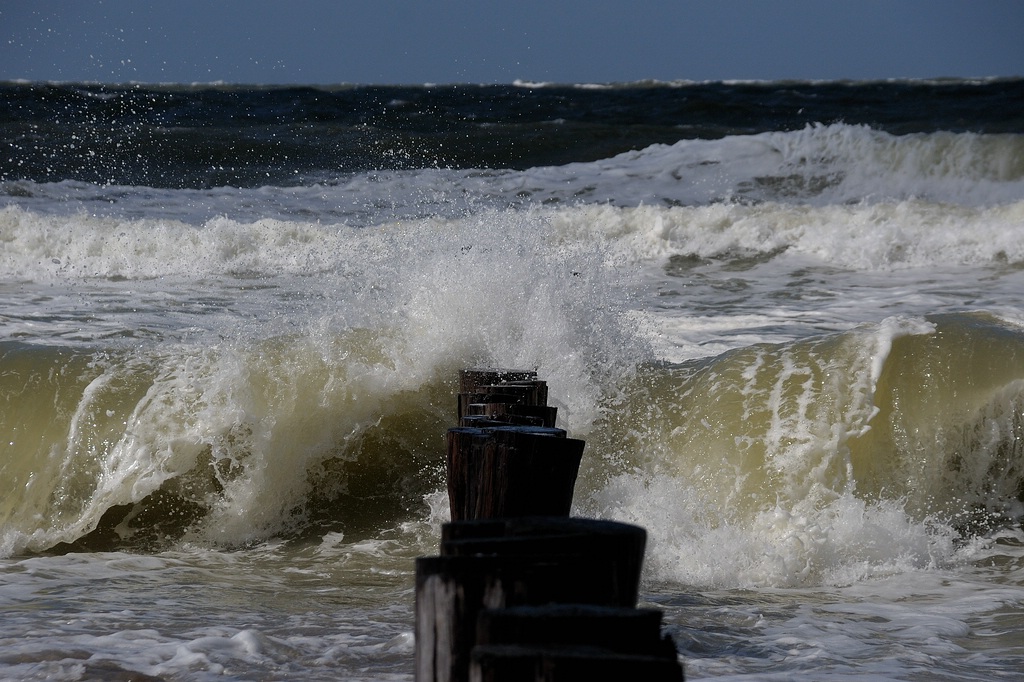 comp DSC 0842 bearbeitet