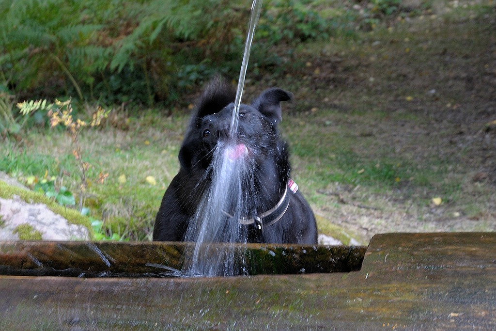 comp DSC 0871 bearbeitet