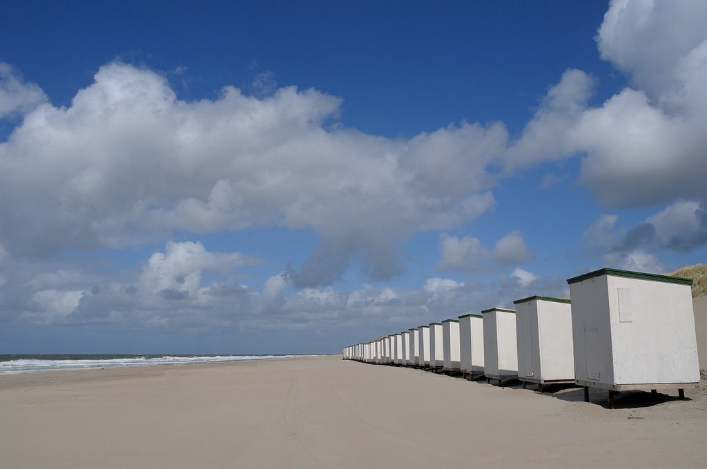comp DSC 0898 bearbeitet