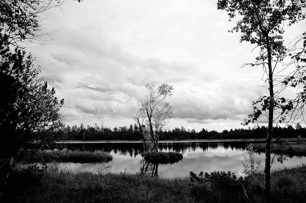comp DSC 0962 bearbeitet S&amp;W