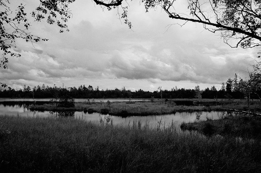 comp DSC 0965 bearbeitet S&amp;W
