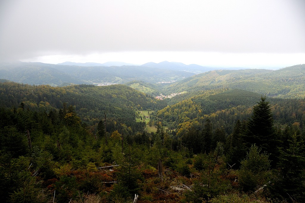comp DSC 0969 bearbeitet