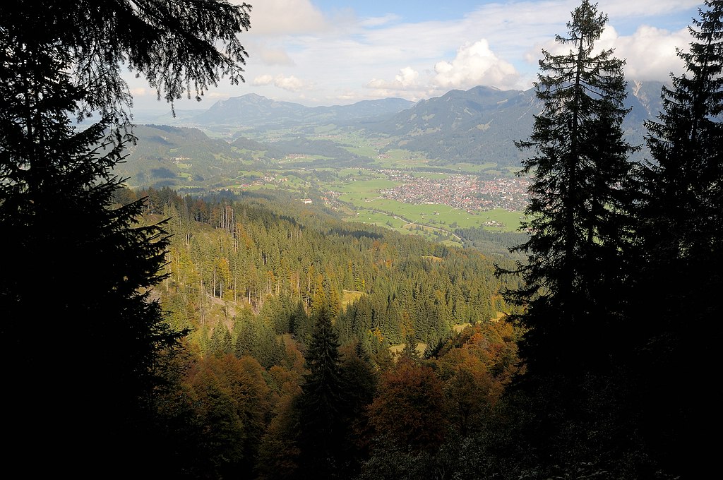 comp DSC 1071 bearbeitet