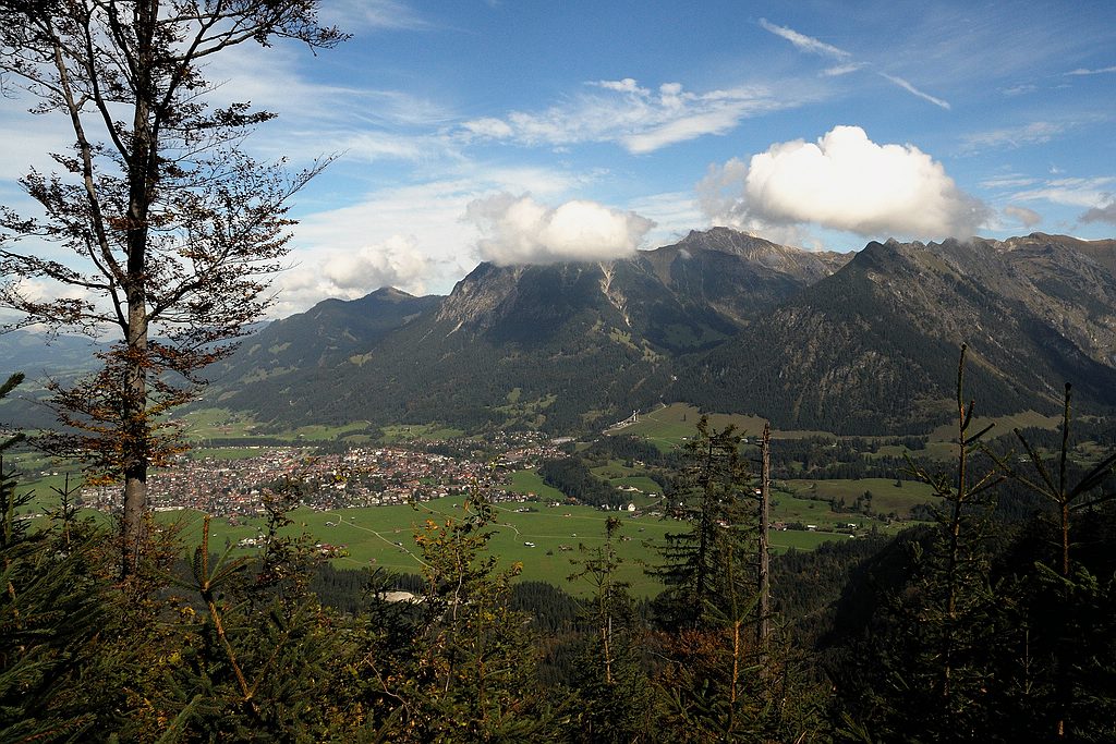 comp DSC 1081 bearbeitet