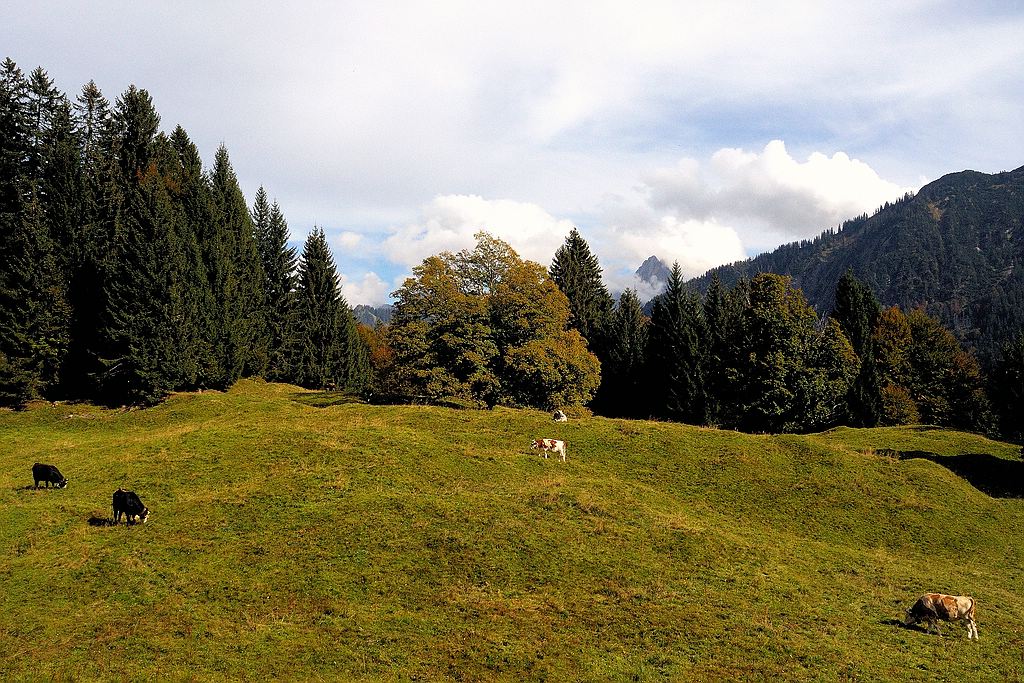 comp DSC 1084 bearbeitet

am Berggasthof Hochleite