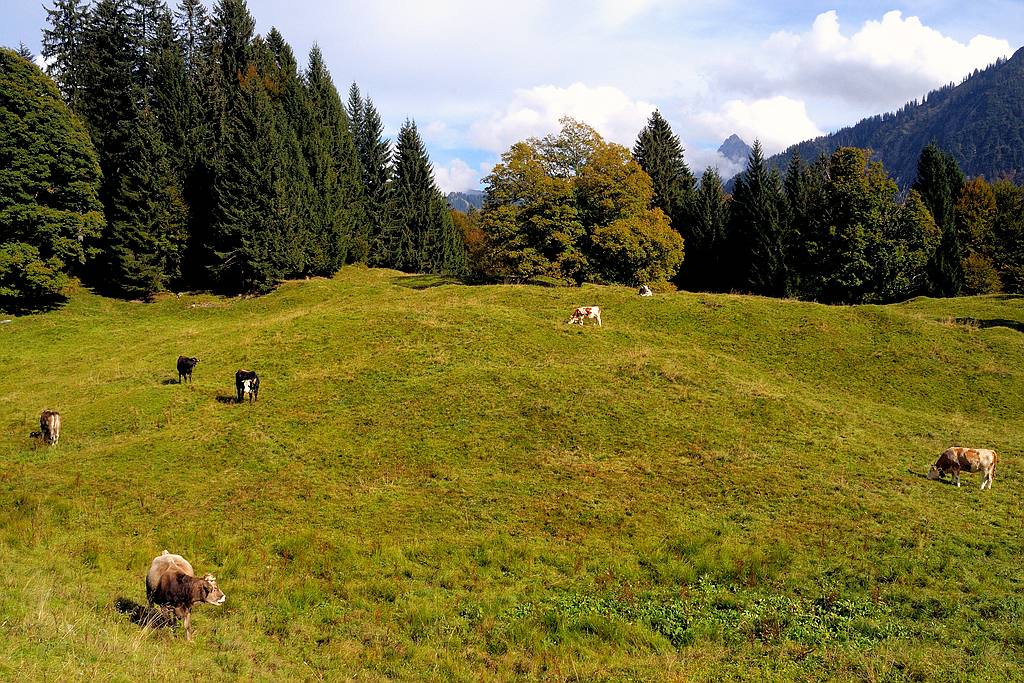 comp DSC 1086 bearbeitet

am Berggasthof Hochleite