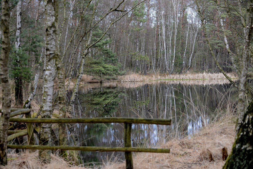 comp DSC 1108