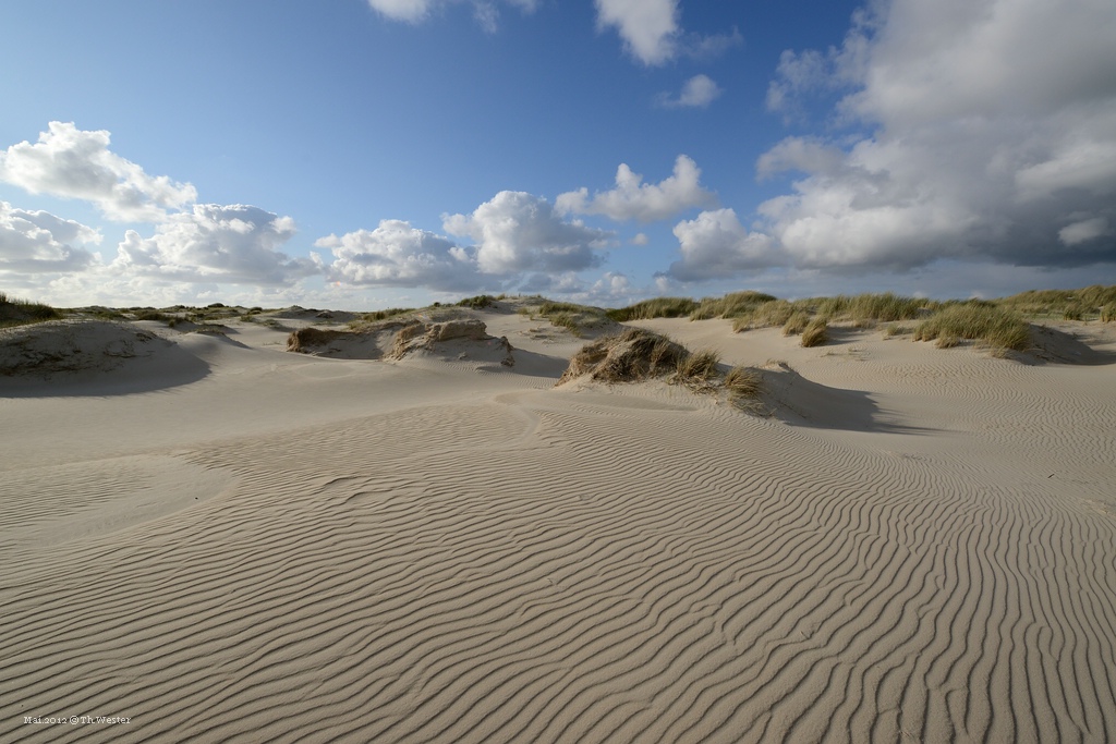 comp DSC 1267
