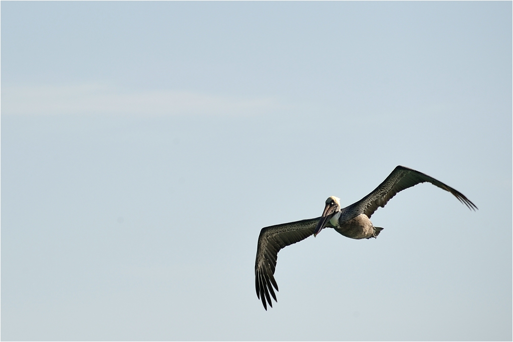 comp DSC 1276