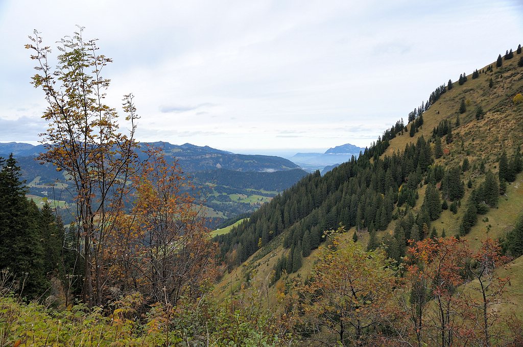 comp DSC 1396 bearbeitet