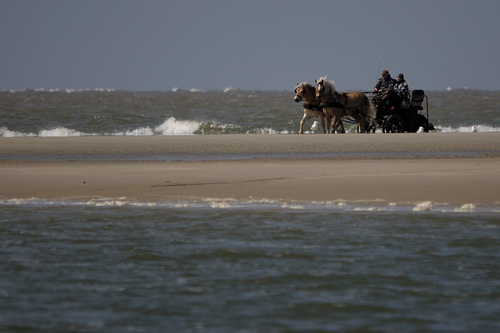 comp DSC 1400 bearbeitet