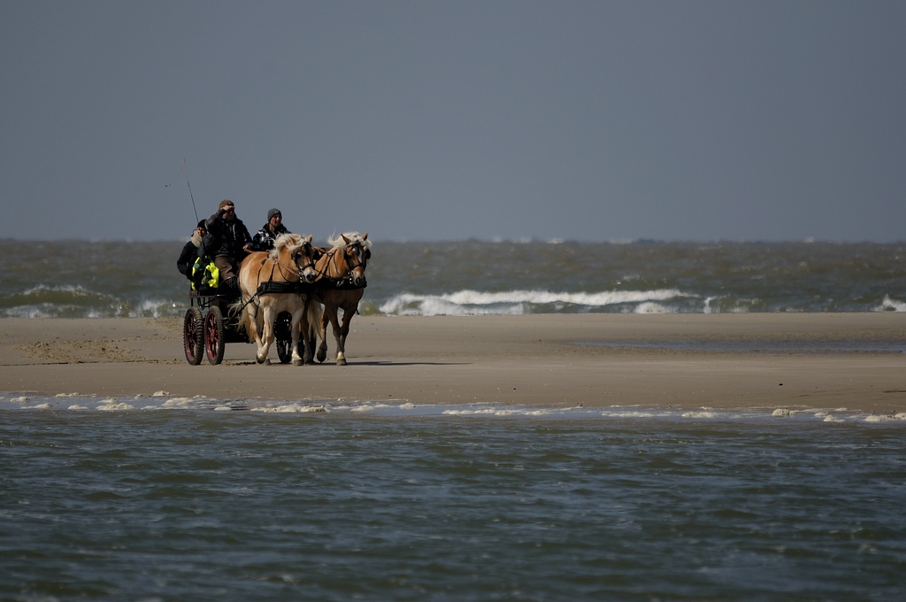 comp DSC 1403 bearbeitet