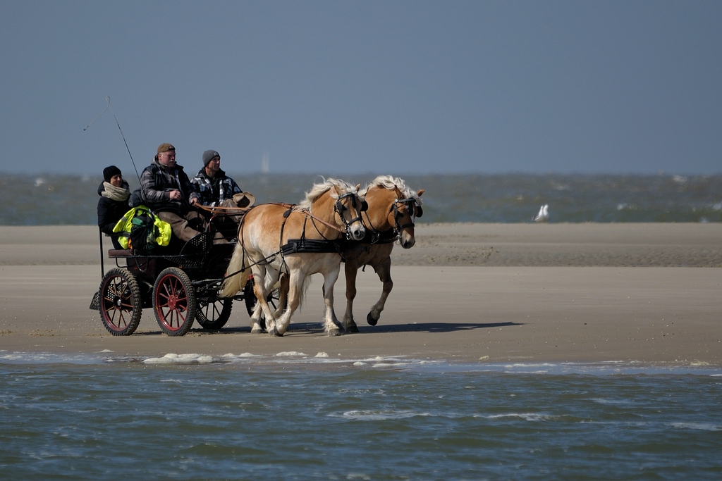 comp DSC 1405 bearbeitet