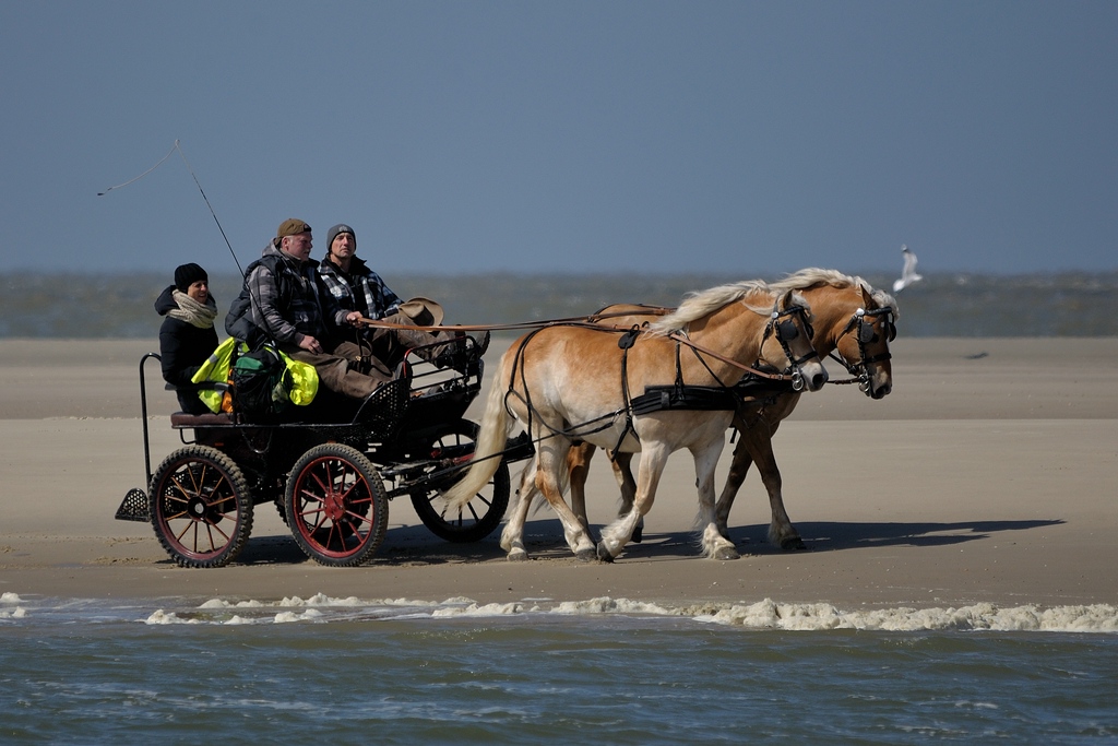 comp DSC 1406 bearbeitet
