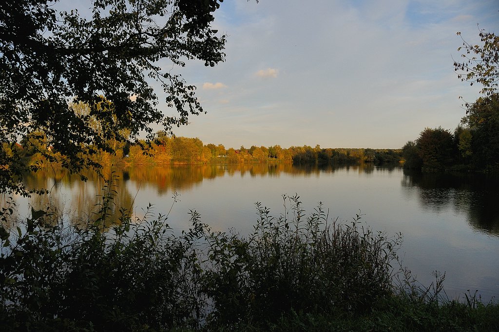 comp DSC 1515 bearbeitet