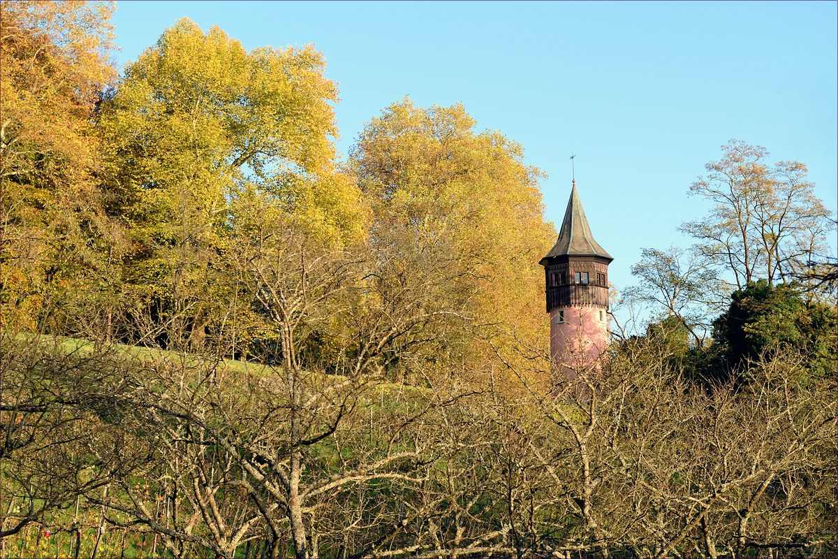 comp DSC 15724   Mainau