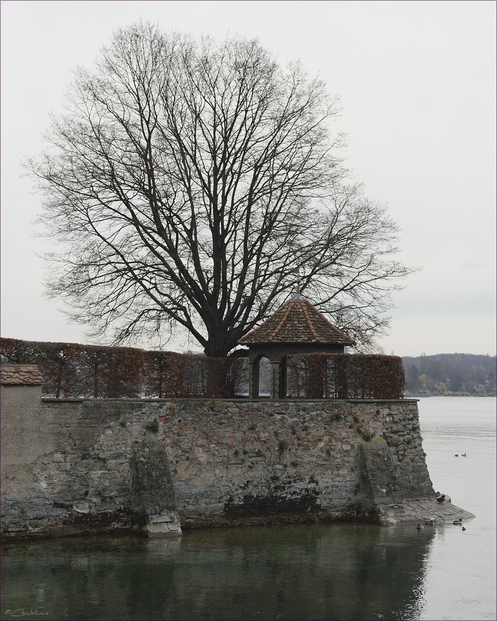 comp DSC 15764   Konstanz