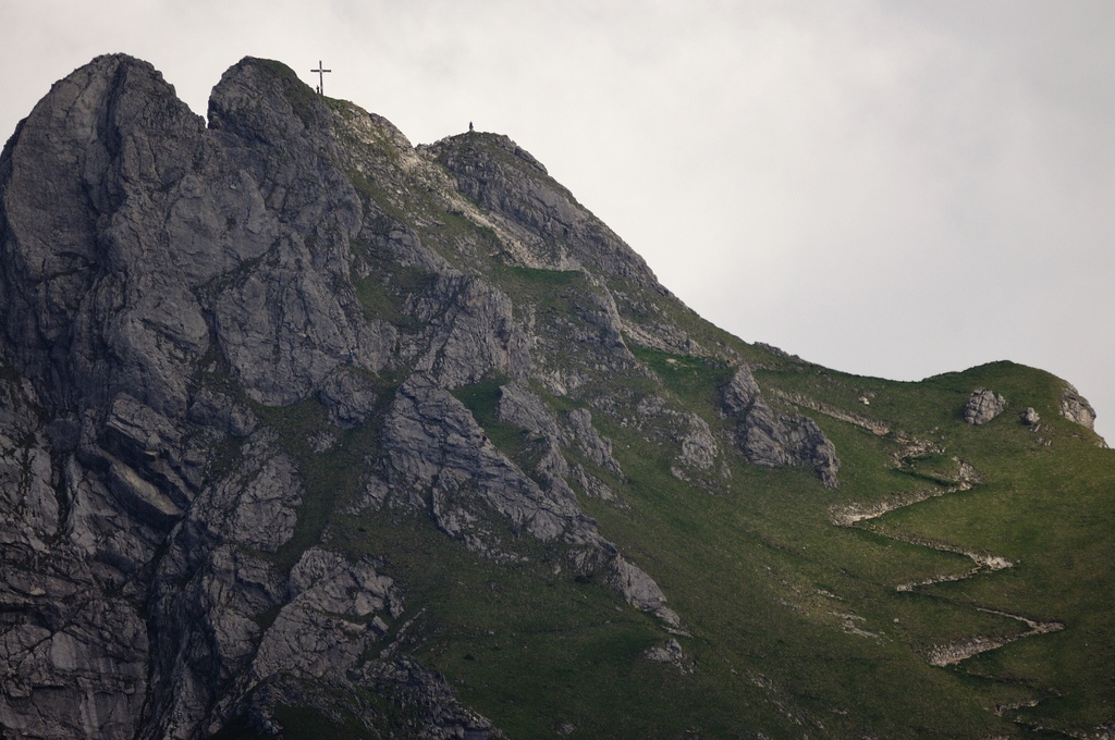 comp DSC 1863 bearbeitet