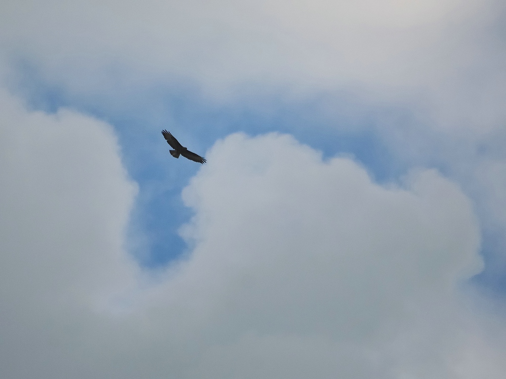 comp DSC 1898 bearbeitet