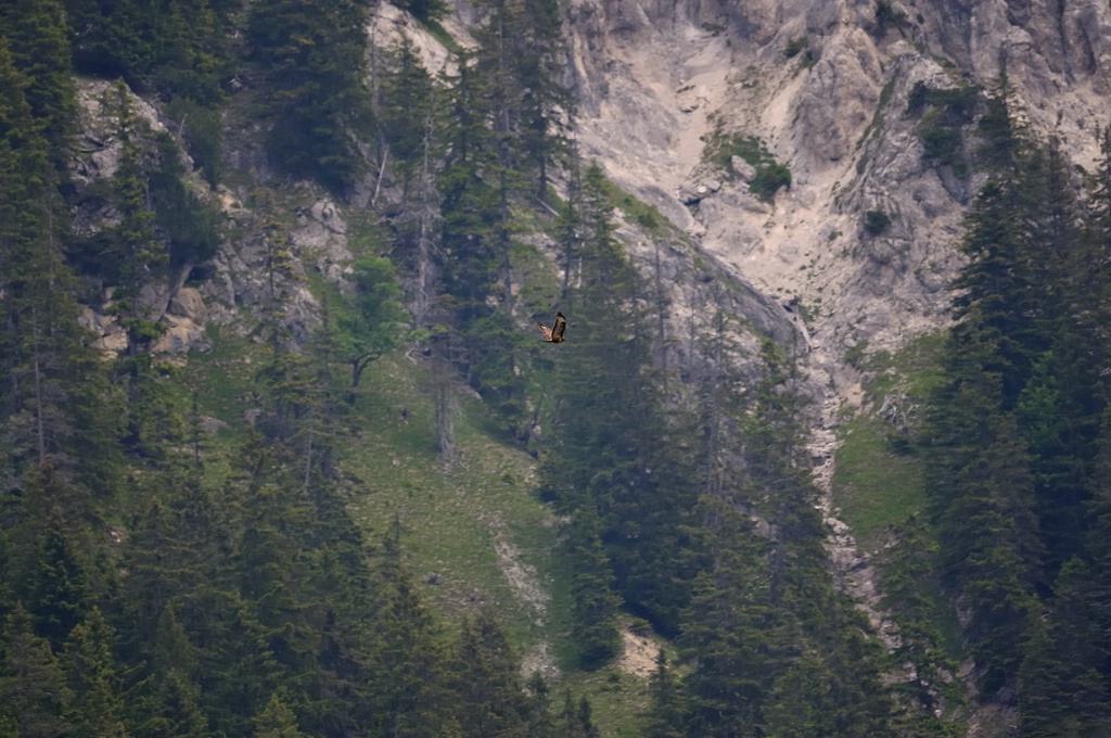 comp DSC 1920 bearbeitet 2