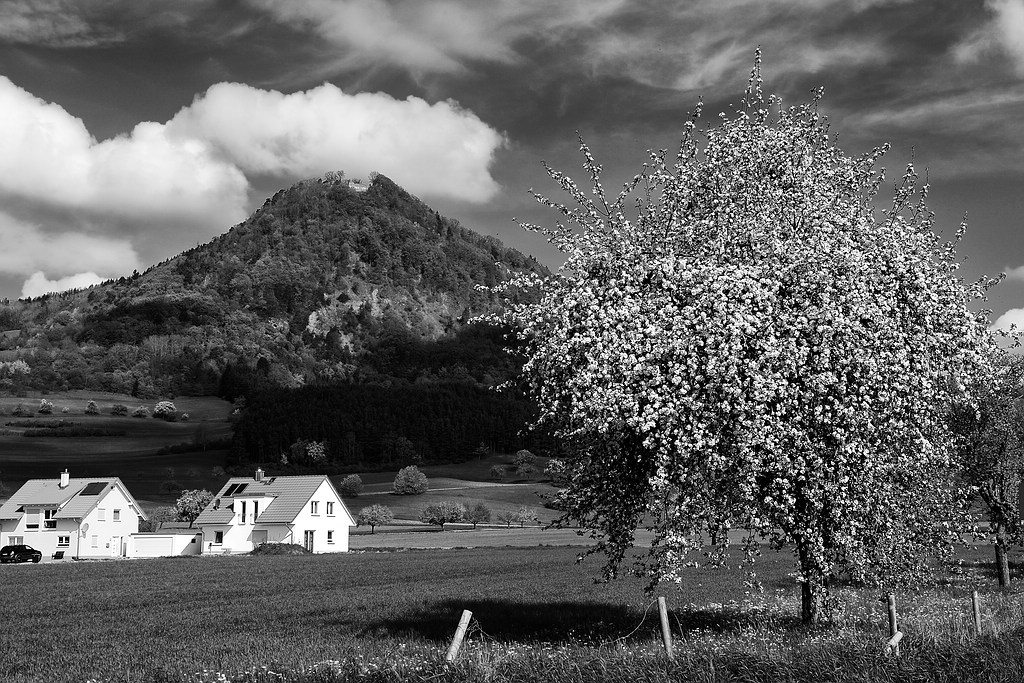 comp DSC 2003 SW
