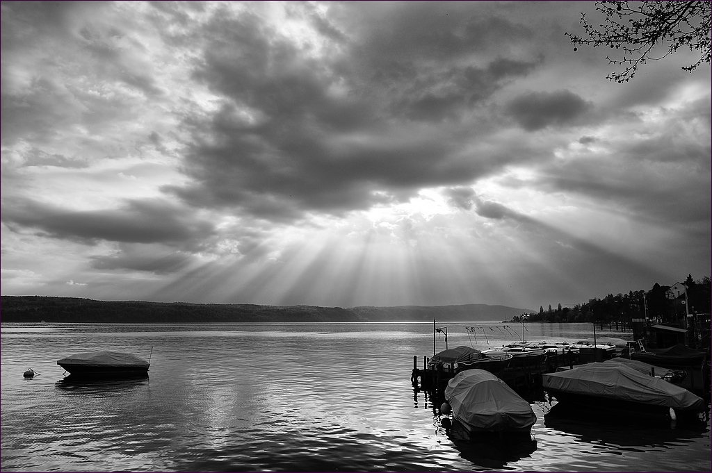comp DSC 2025 SW