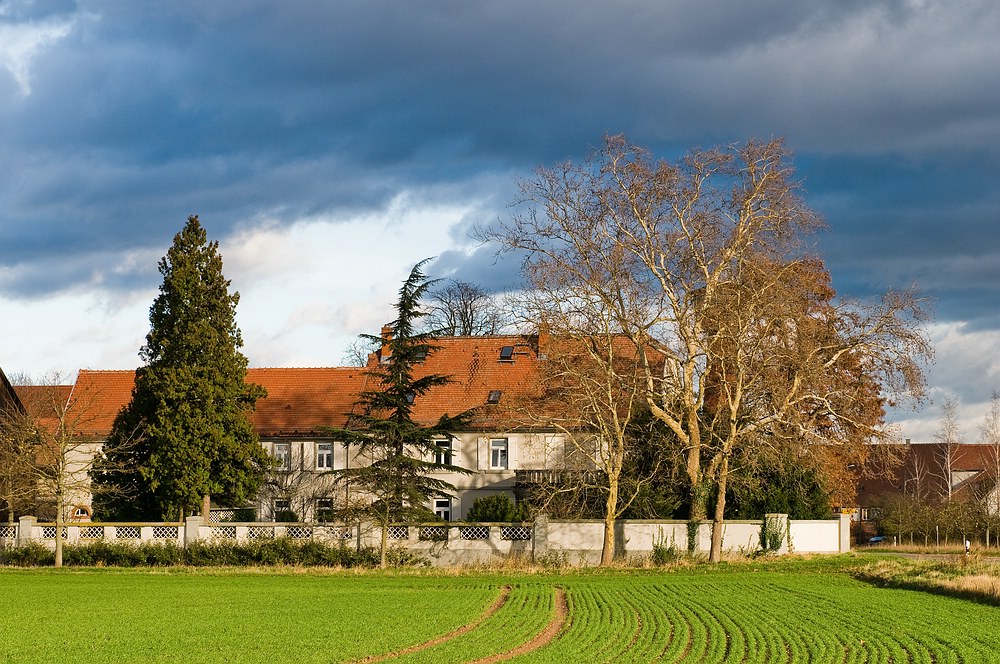 comp DSC 2123 bearbeitet 1