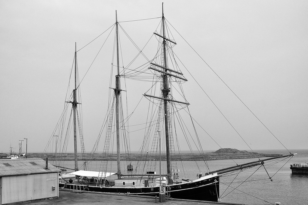comp DSC 2151 081