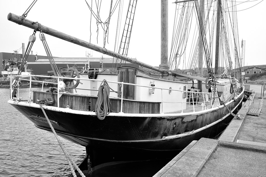 comp DSC 2158 082