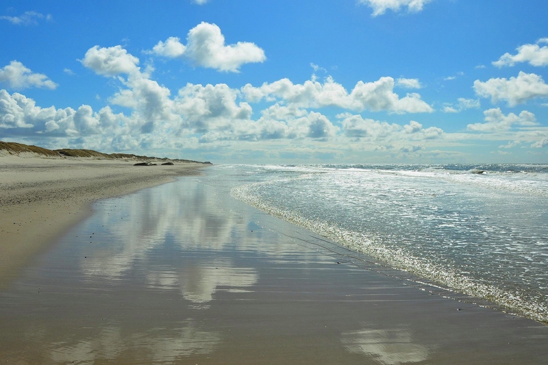 comp DSC 2170
