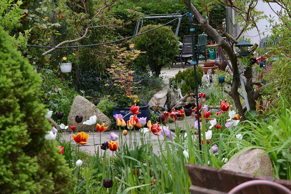 comp DSC 2176 11 5 14 UnserGarten