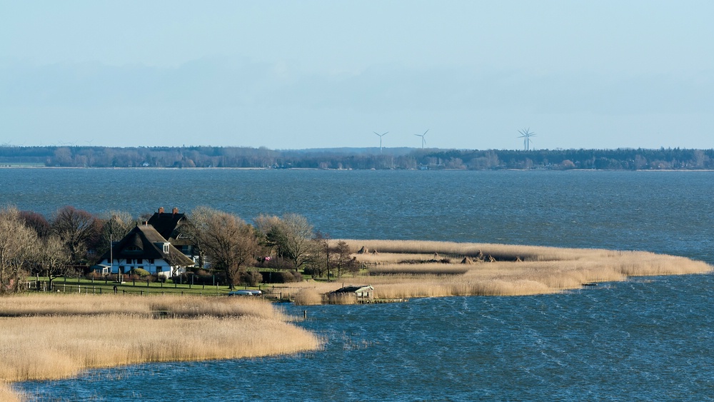 comp DSC 2234