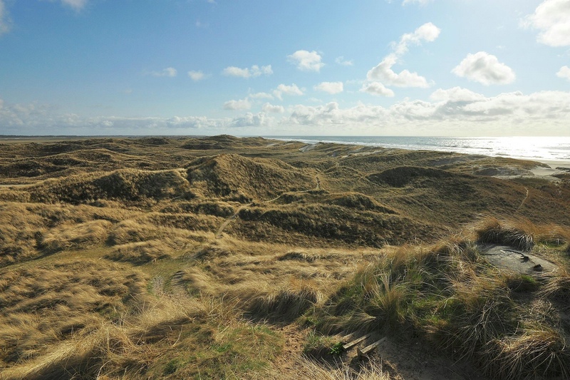 comp DSC 2290