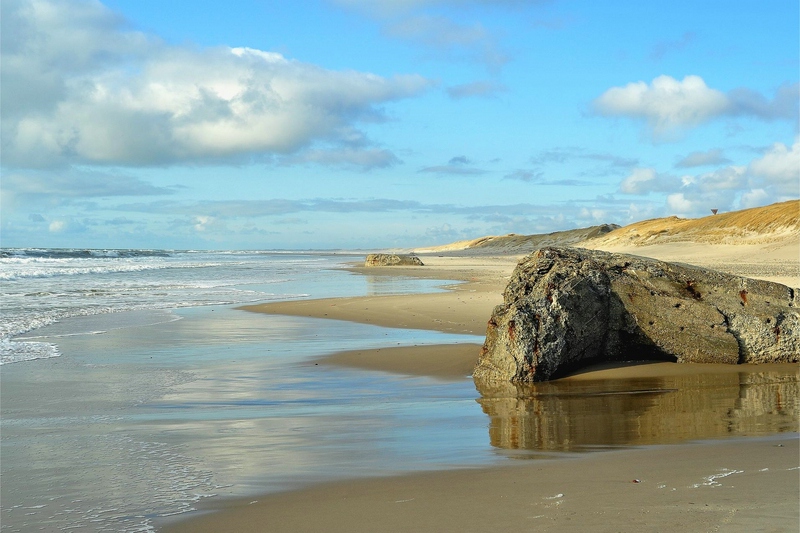 comp DSC 2329