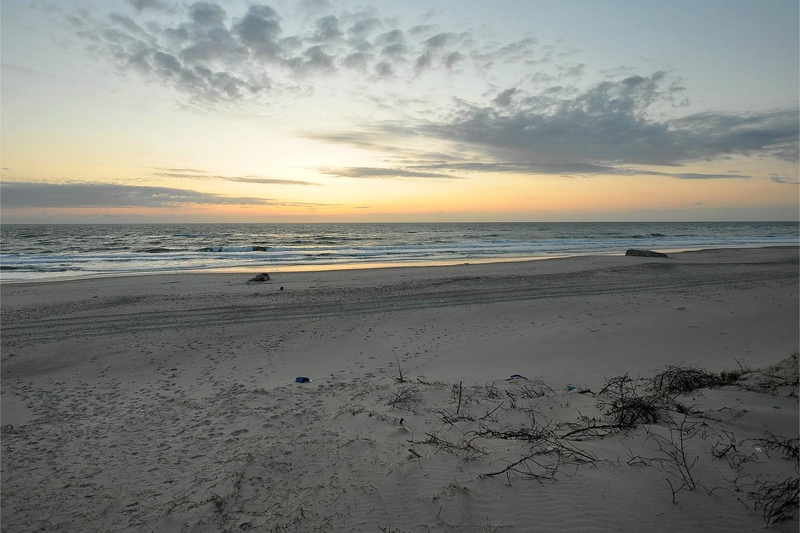 comp DSC 2346