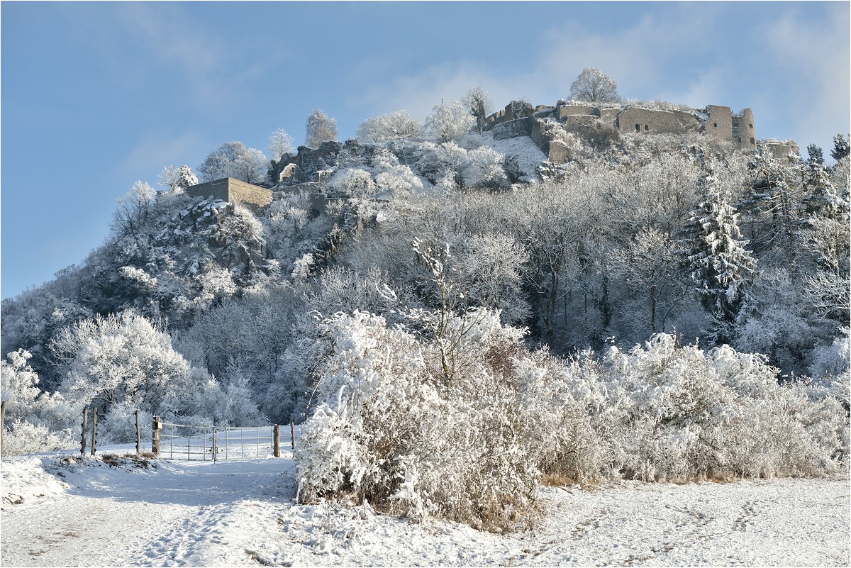 comp DSC 2382